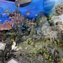 제주해양동물박물관 이미지