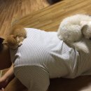 전주도란도란카라반 이미지