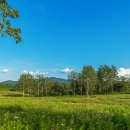 김인상한의원 | 눈충혈, 시야흐림, 희미한 초점과 함께 불편함