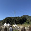 도전목장 | 가평 양떼목장 ㅣ 가을에 아이랑 가기 좋은 곳 추천, 입장료 주말 주차 정보