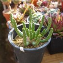 환성농장 이미지