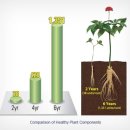 정가한의원 이미지