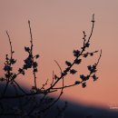 양산신-2017 이미지