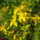 요한약국 이미지