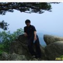 일산초등학교 이미지