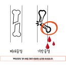 24시더파크동물의료센터