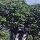 포은체육관 화장실 이미지