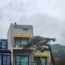 스테이 80 A 네이버블로그