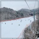 모든렌탈 이미지