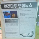 대방어린이집 | 사천 아이와 가기좋은 아라마루 아쿠아리움 아라마루 랜드