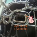 엘모터스(L-MOTORS) 이미지