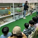 김포 자연 농장 | 김포 곤충농장 28개월 자연생태체험 후기 아이와 가볼만한곳