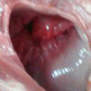 메디캠프 이미지