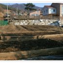 혁이네 농장 이미지