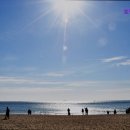 호텔모모주스 이미지