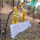 씨에스소매