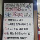 온오프PC | 다이와 온오프 LP425 여성 드라이버 엄청 편한 스윙 비거리 증가 아산골프매장 추천