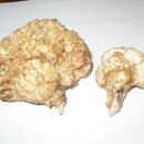 가야2동-7 이미지