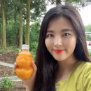 하르방 민박 이미지