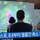 예천군곤충엑스포개체8.6ㅡ 이미지