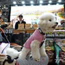 (주)경기사료 이미지