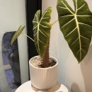 오목교 화장실 이미지