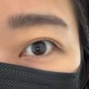 브로우 플랜트