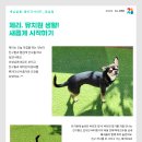 개님살롱레이크사이드 이미지