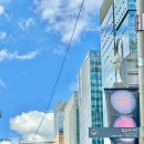 연기공소 | 종로 가성비 고기집 2가 3가 종각역 회식장소 맛집 단막 추천