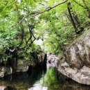 물한계곡 소나무펜션 이미지