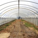 게티하우스 이미지