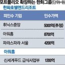 휘닉스중앙평창