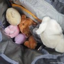 선원경로당 | [에이티즈 7주년 팝업] ATEEZ 8ROOM POP-UP