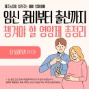 조산농장 | 💊 임신 준비부터 출산까지, 챙겨야 할 영양제 총정리 : 용법 및 용량까지 총정리