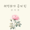 해당화스튜디오 이미지
