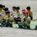 창촌 초등학교 이미지