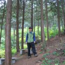 두동편백마을 이미지