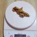 강아지 수제간식 닥터얼라이브, 닭츄 3종 직접 급여 후기