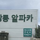 대요농장 네이버블로그
