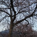 녹수농장 이미지