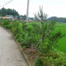 푸른마을 이미지