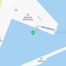 사동1리 흑비둘기서식지 네이버블로그