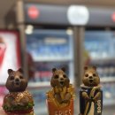 뉴대장금 | 오페라하우스 내부투어 에스테반 본다이비치 피쉬앤칩스 서프씨푸드 한식당 대장금 호주 감기약 코드랄