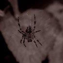 신탁 공인중개사사무소 이미지