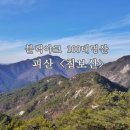 정기나무골 Daum카페