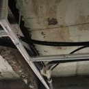 강샘온가족의원 이미지