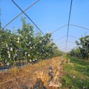 이화가든식당 이미지