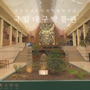 꿈나무창의수학 | 국립 대구박물관 실내 아이와 가볼만한 곳 예약 주차장 이용료 전시해설 관람후기