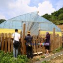 청태산목장 이미지