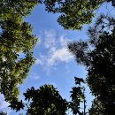 지곡산장 이미지